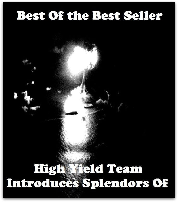 Best of the best sellers High Yield Team Introduces Splendors Of ( approach, ideology, method, theory, hypothesis, conjecture, speculation, assumption, premise, presumption, guess )