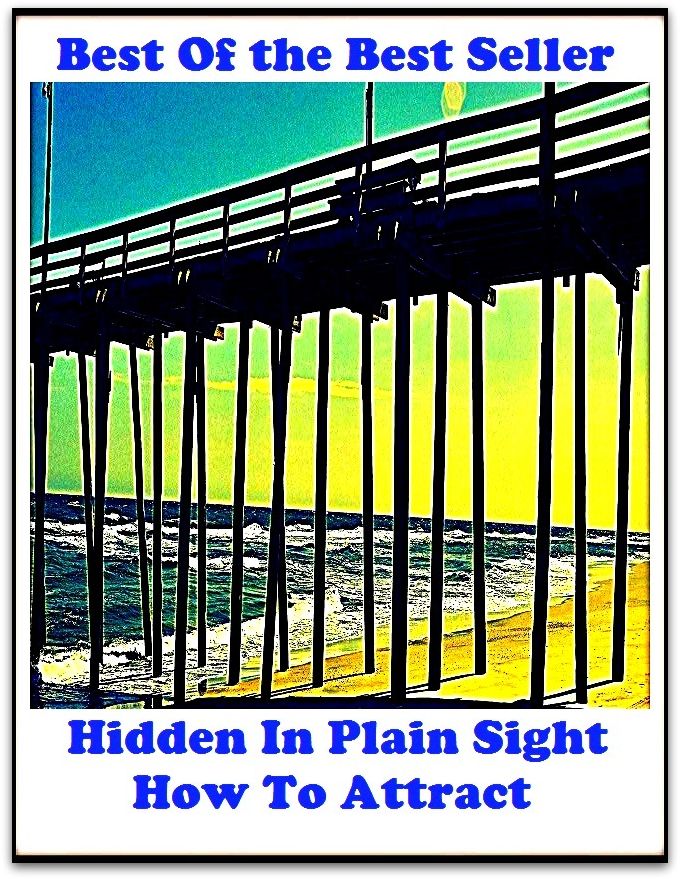 Best of the best sellers Hidden In Plain Sight How To Attract Wh ( approach, ideology, method, theory, hypothesis, conjecture, speculation, assumption, premise, presumption, guess )