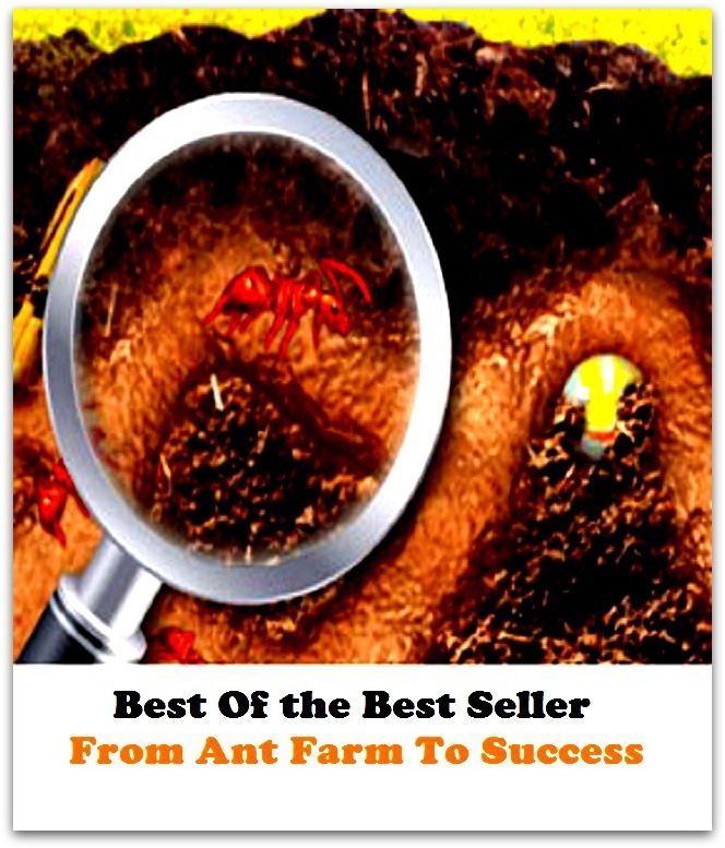 Best of the best sellers From Ant Farm To Success ( approach, ideology, method, theory, hypothesis, conjecture, speculation, assumption, premise, presumption, guess )