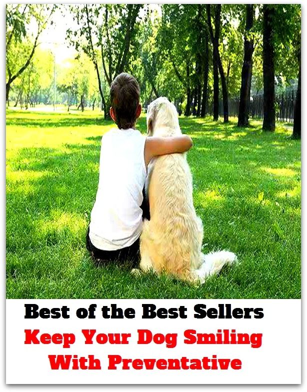 Best of the Best Sellers Keep Your Dog Smiling With Preventative (pup, puppy, bitch, cur, doggy, hound, mongrel, mutt, pooch, stray, tyke, bowwow, fido)