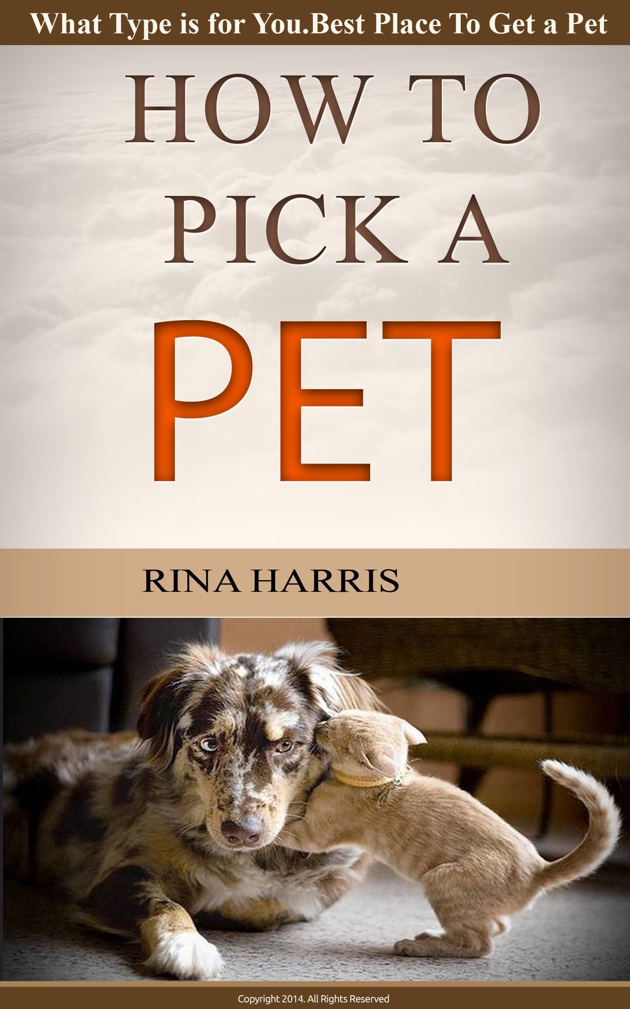How To Pick A Pet : What Type Is For You.Grown or Baby.Best Places To Get A Pet