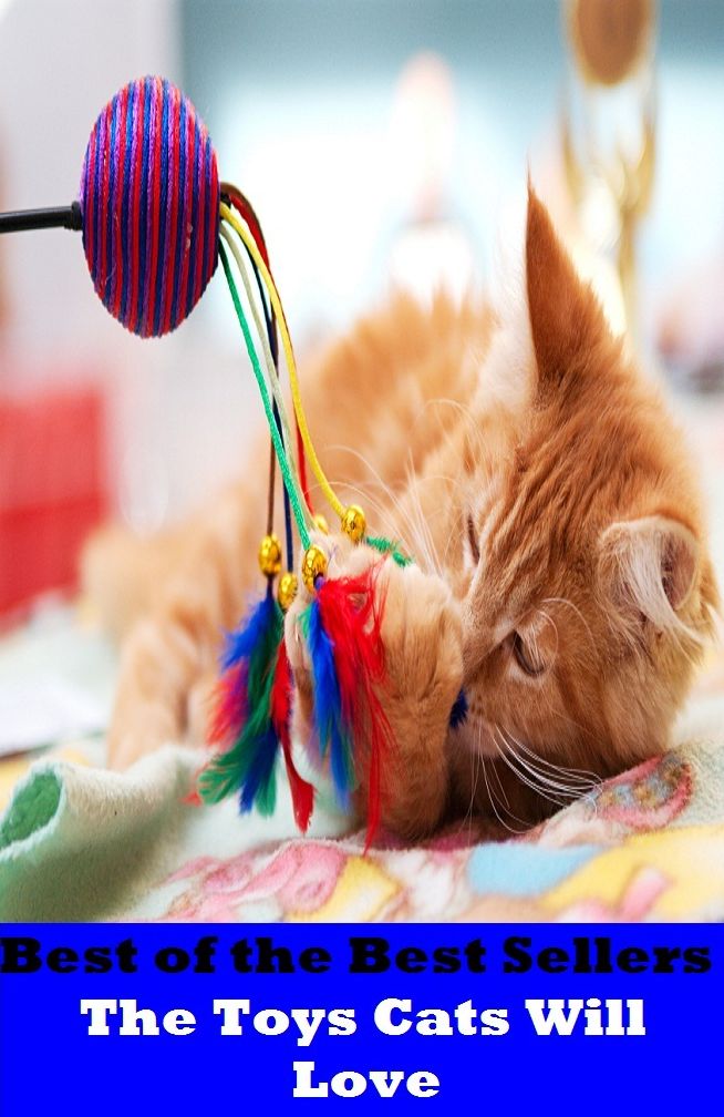Best of the Best Sellers The Toys Cats Will Love (the time writer, the tomfoolery show, the top, the top of the ladder/tree, the torn-ante company, the track, the trade desk, the transfiguration, the trapezium, the trash men)