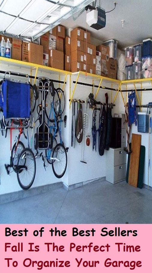 Best of the best seller Fall Is The Perfect Time To Organize Your Garage(barn,parking lotparking,space,repair shop,shop,carport,storage,car stall,car park,parking garage)