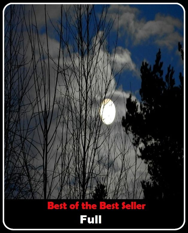 Best of the Best Sellers Full (completed, complete, full, entire, whole, all,fulfilled, complete, whole, total, undivided)