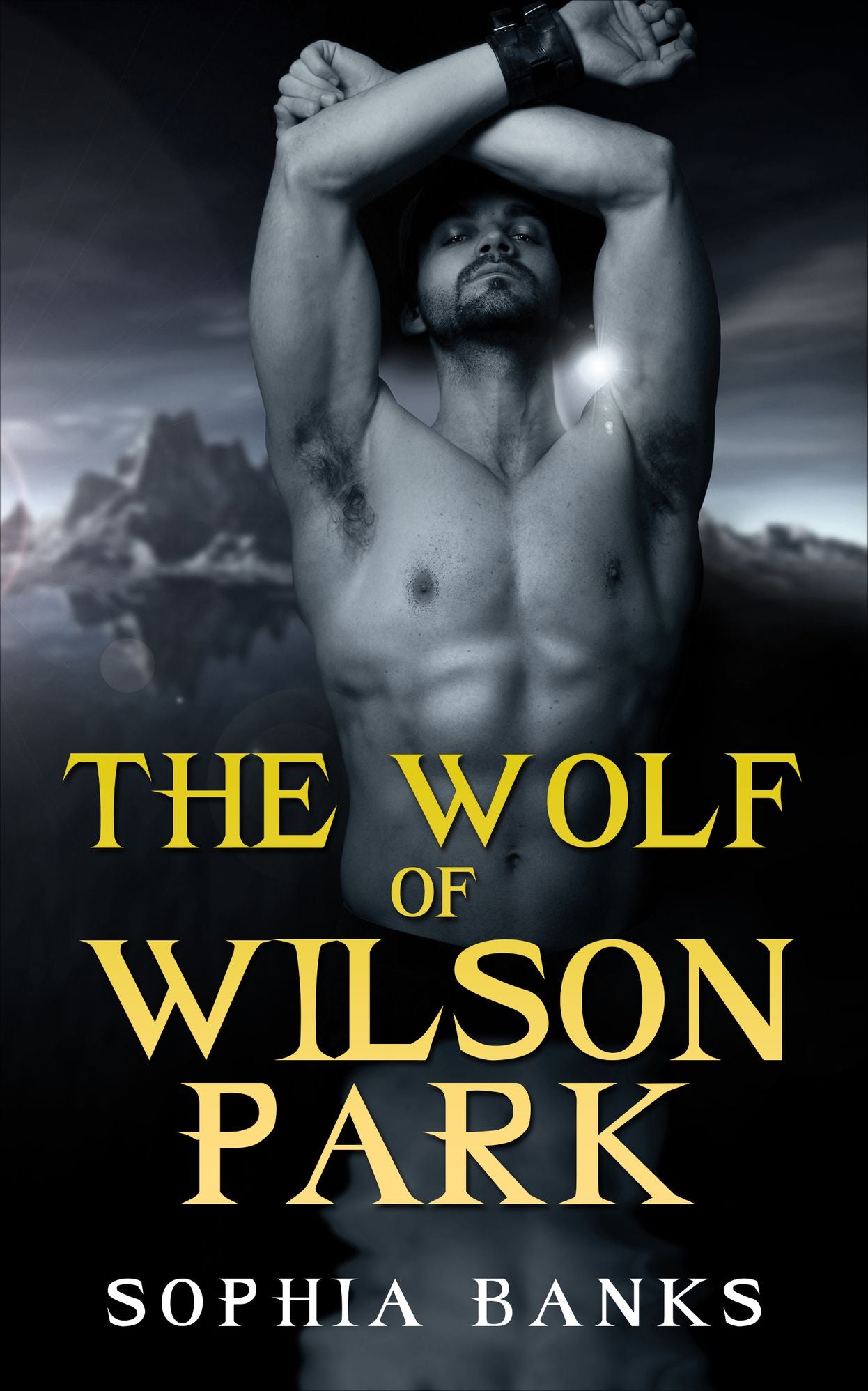 The Wolf Of Wilson Park (BWWM Shifter Erotica)