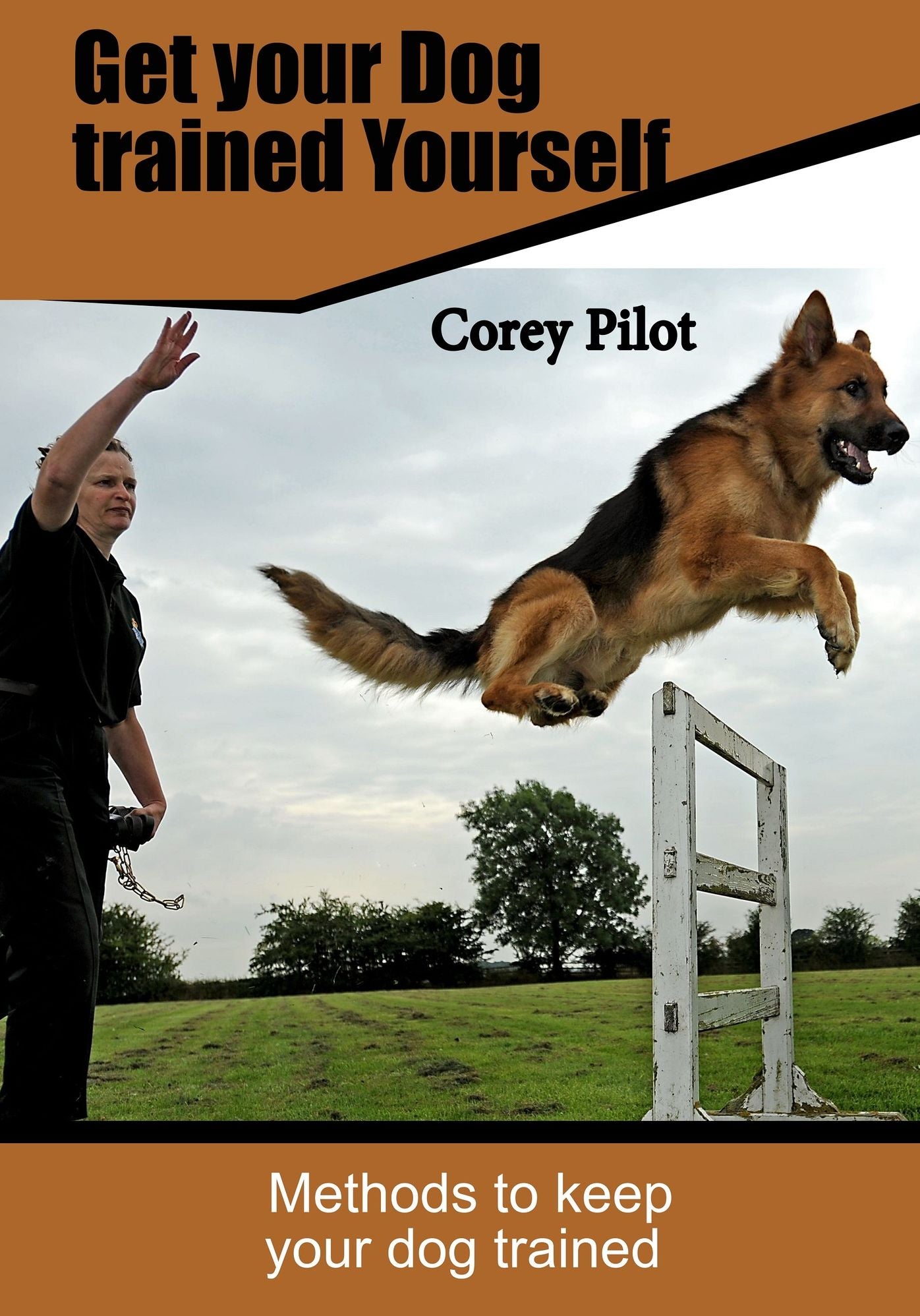 Get your Dog Trained yourself