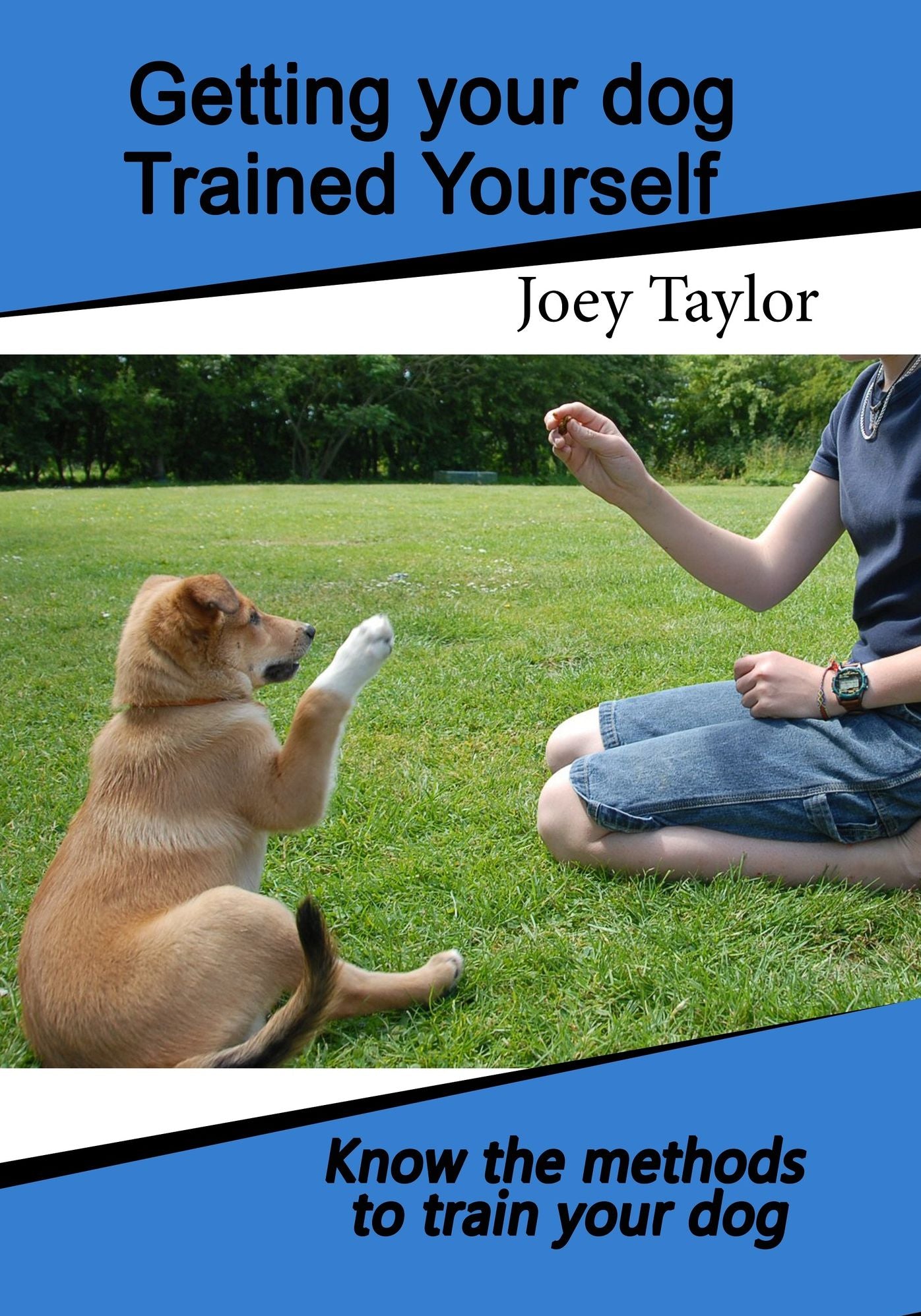 Getting your Dog trained yourself