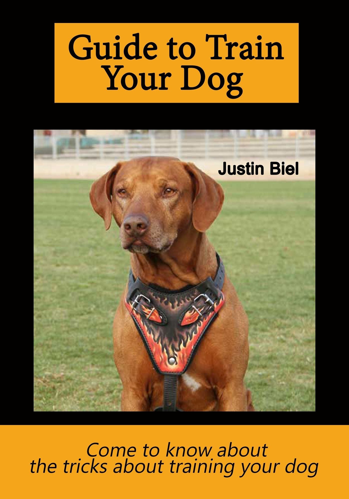 Guide to Train Your Dog