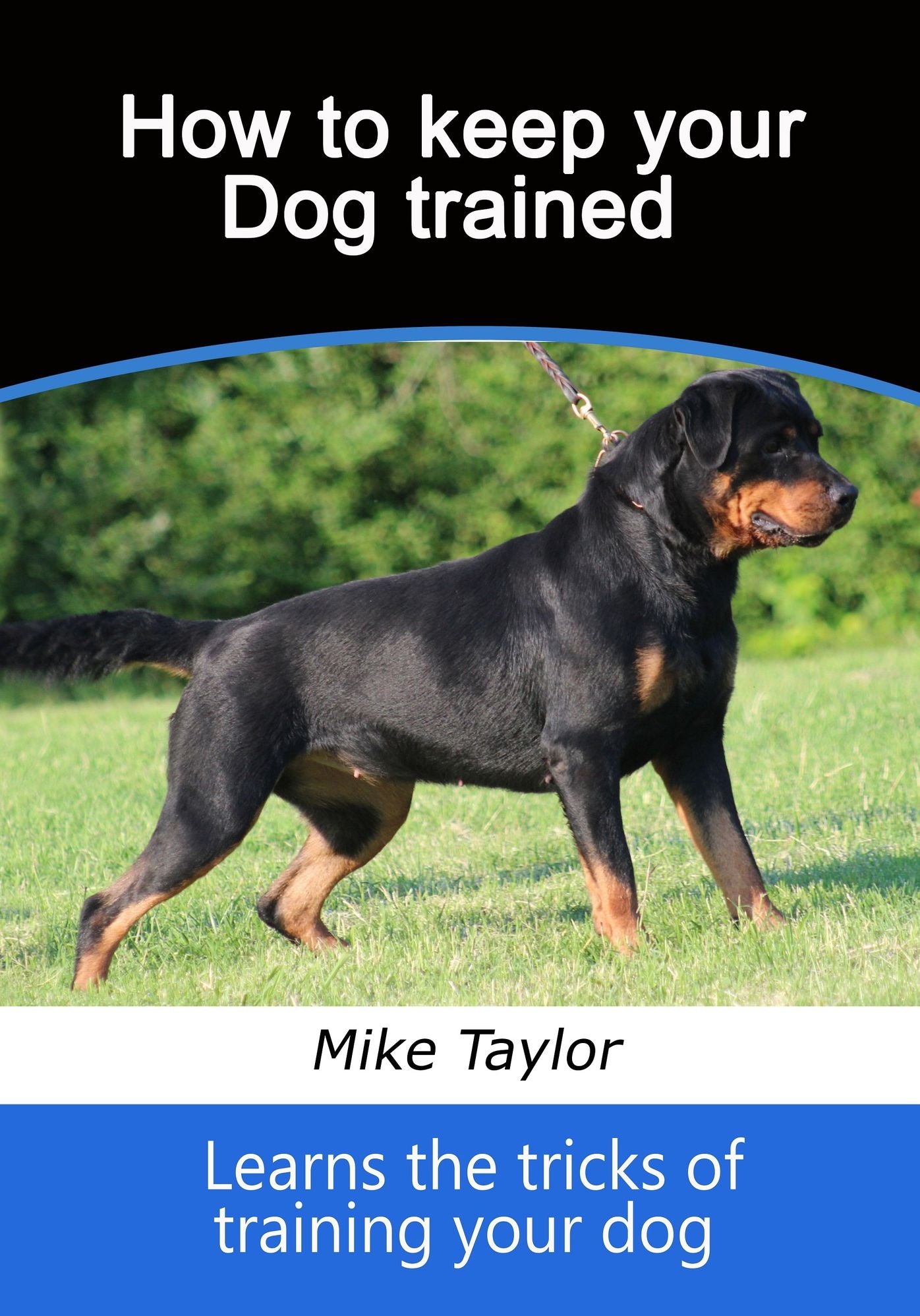 How to Keep your Dog Trained