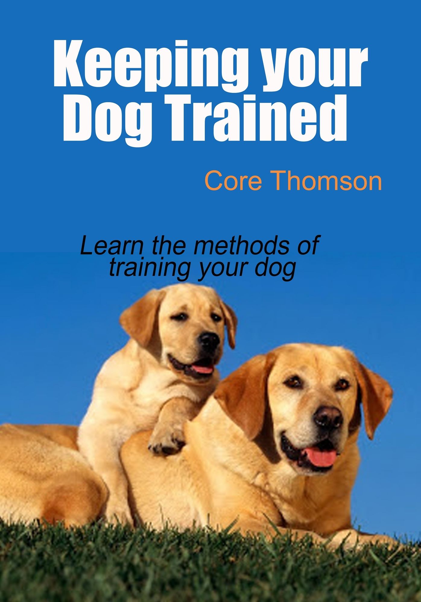 Keeping your Dog Trained