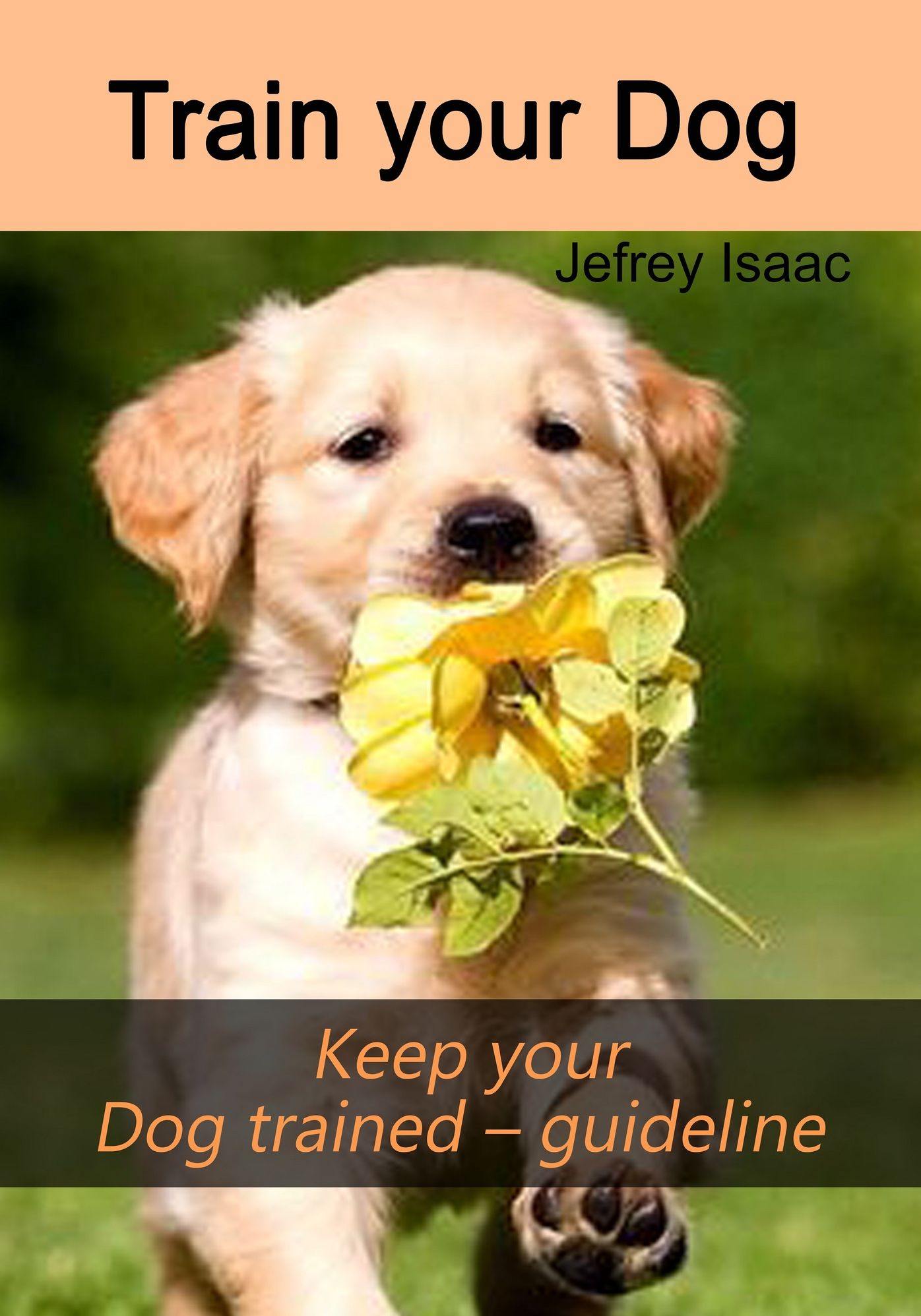 Train your Dog