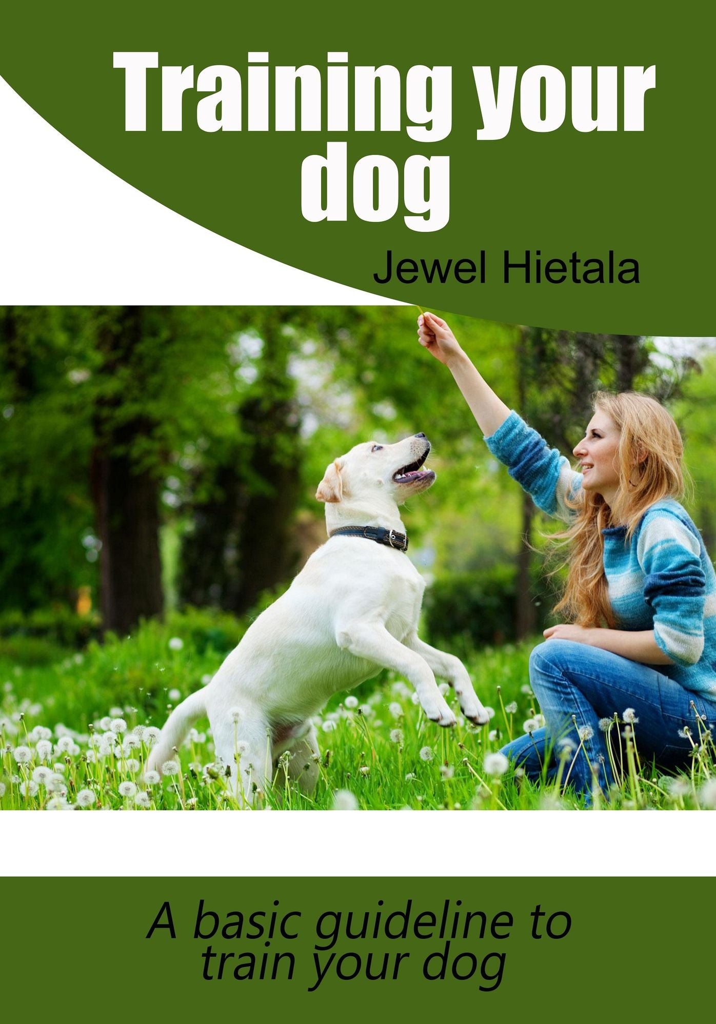 Training your Dog