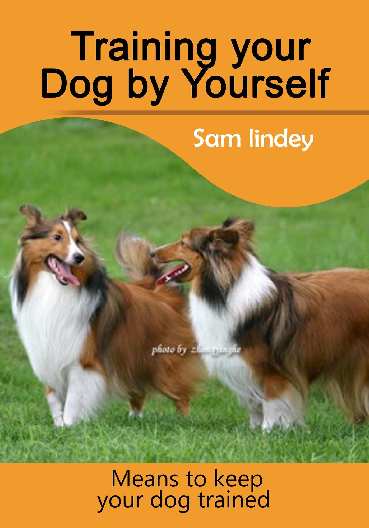Training your Dog by Yourself