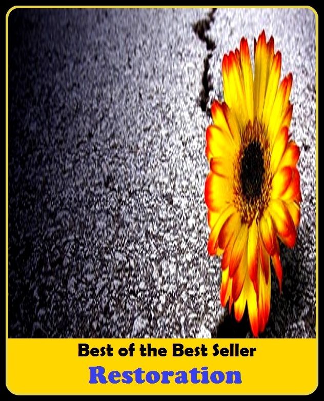 Best of the best seller Restoration(behavior,conduct,habits,style of living,way of acting,act,action,attitude,conduct,demeanor)