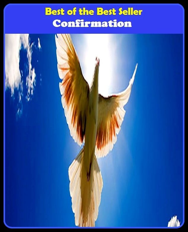 Best of the Best Sellers Confirmation (impediment, baulk, quench, stay, confirmation, bridle, tick, hitch, proof, chip, handicap, assay, ratification, balk, check, check-out procedure, bank check, stoppage, tab, chit, curb, halt, deterrent, check mark, hi