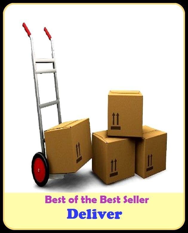 Best of the Best Sellers Deliver (extradite, rescue, portray, hand over, demo, exhibit, introduce, show, return, acquaint, save, fork over, fork up, present, have, lay out, deport, give, surrender, redeem, gift, salute, give up, turn in, birth, represent,