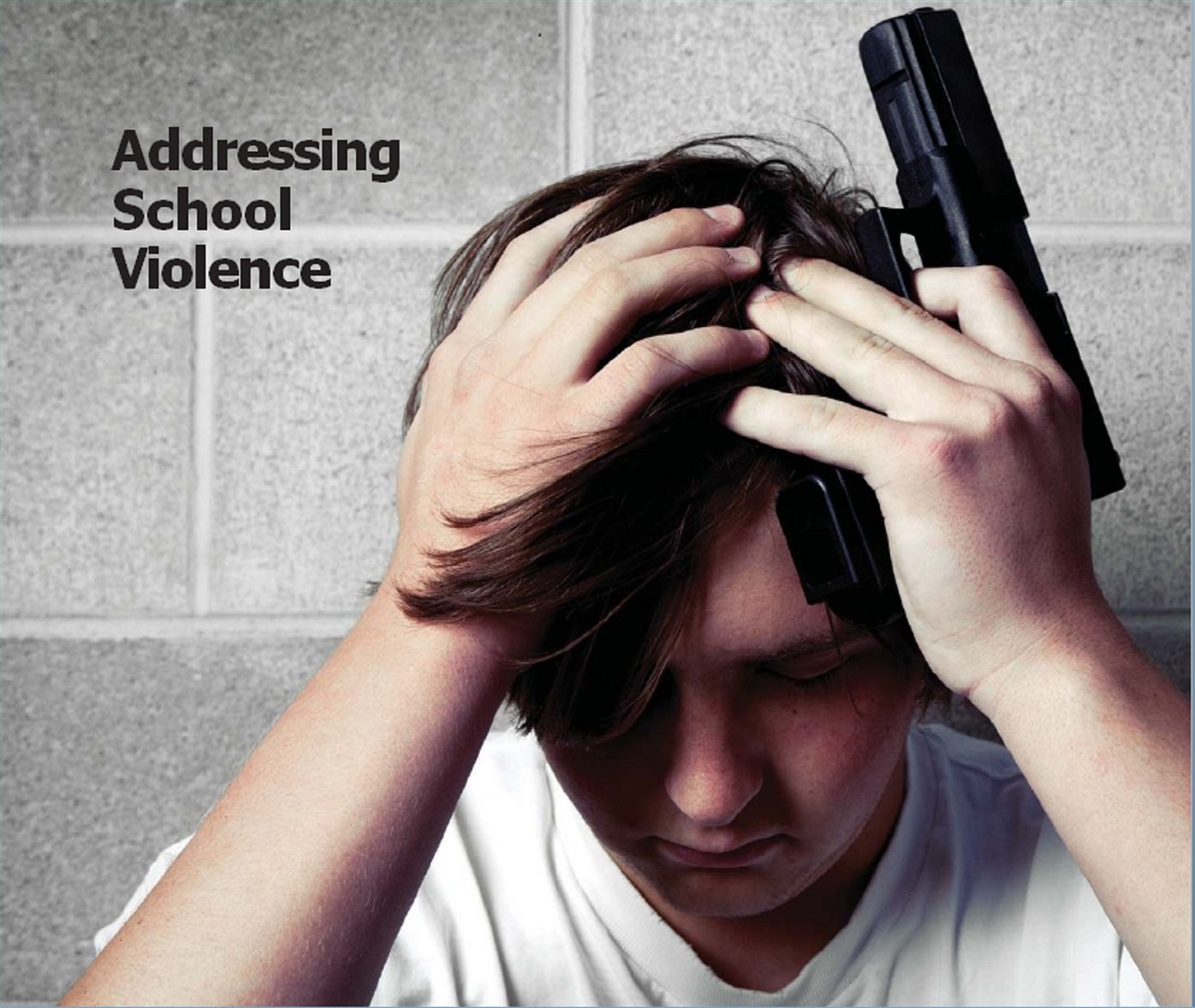 Addressing School Violence