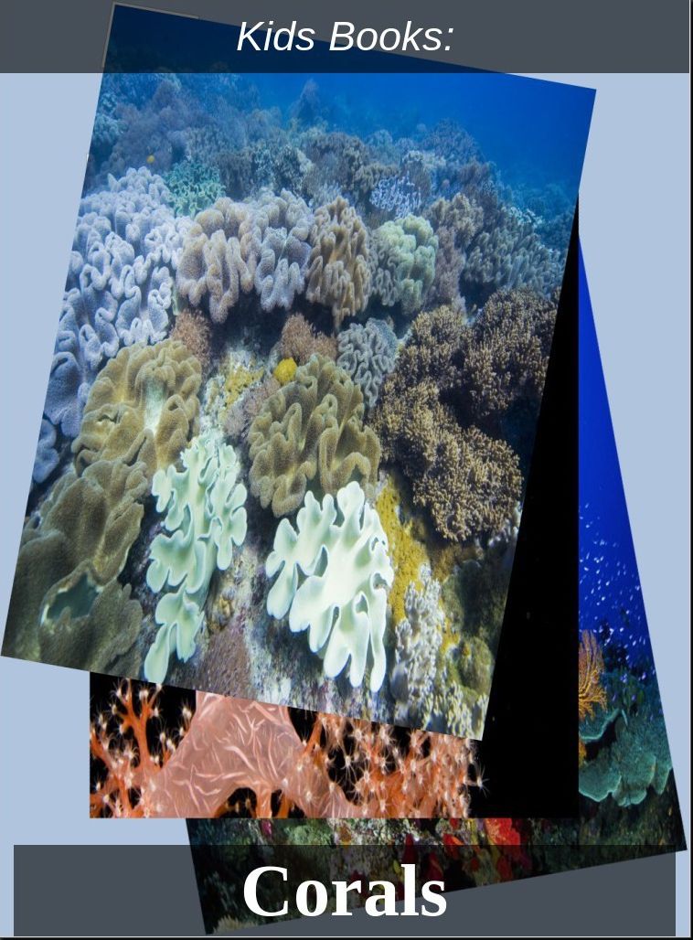 Children's Books: #10 ( Wildlife, Nature, Sea Life, Wild Birds, Corals, Tigers, Lions, Bears, Elephants, Fish, Sharks, Marine Life, Endangered, Conservation, Ecology, Substainable Living, Tree, Flower )
