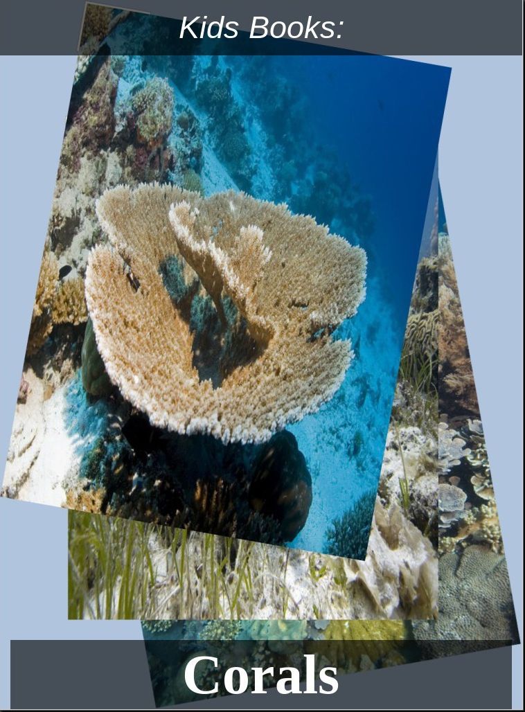 Children's Books: #9 ( Wildlife, Nature, Sea Life, Wild Birds, Corals, Tigers, Lions, Bears, Elephants, Fish, Sharks, Marine Life, Endangered, Conservation, Ecology, Substainable Living, Tree, Flower )