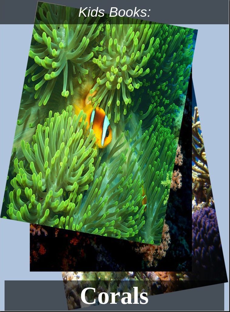 Children's Books: #12 ( Wildlife, Nature, Sea Life, Wild Birds, Corals, Tigers, Lions, Bears, Elephants, Fish, Sharks, Marine Life, Endangered, Conservation, Ecology, Substainable Living, Tree, Flower )