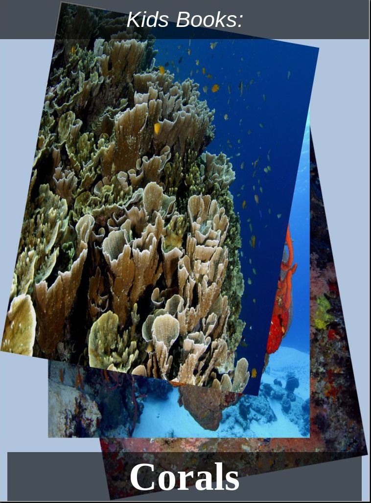 Children's Books: #17 ( Wildlife, Nature, Sea Life, Wild Birds, Corals, Tigers, Lions, Bears, Elephants, Fish, Sharks, Marine Life, Endangered, Conservation, Ecology, Substainable Living, Tree, Flower )