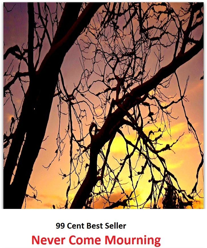 Mystery & Crime: 99 Cent Best Seller Adventure, Horror, Mystery Classics Best Seller's for 99 Cents Never Come Mourning ( adventure, fantasy, humorous, historical, romantic, thriller, crime, journey, battle, war, science fiction, amazing )