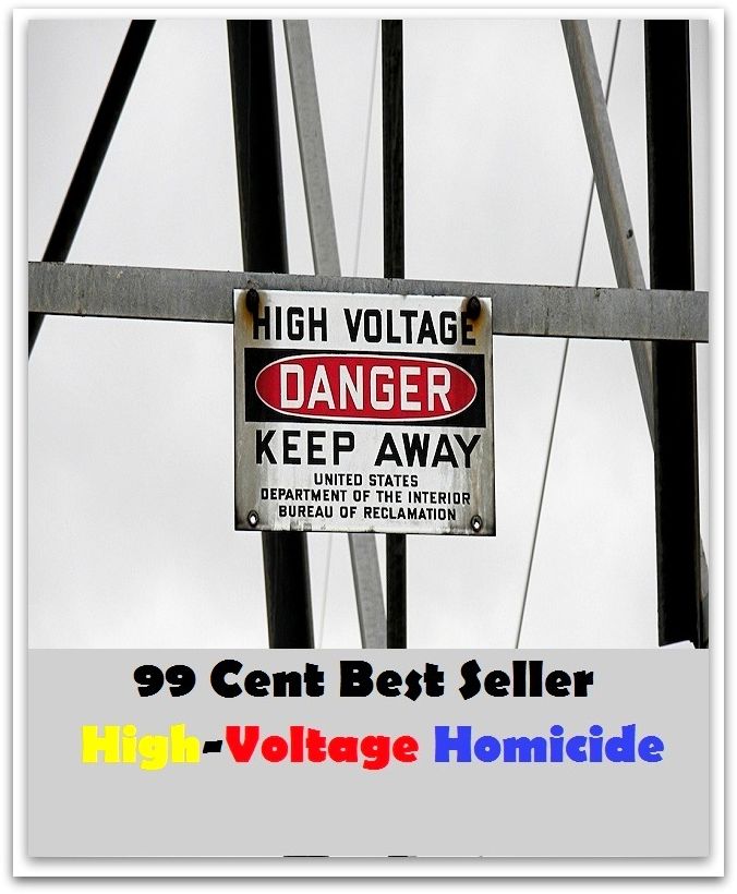 Adventure: 99 Cent best seller Adventure, Horror, Mystery Classics Best Seller's for 99 Cents High-Voltage Homicide (mysteries, mysterioso, mysteriosophy, mysterious, mysteriously, mysterize, mysterized, mystery, mystery meat)