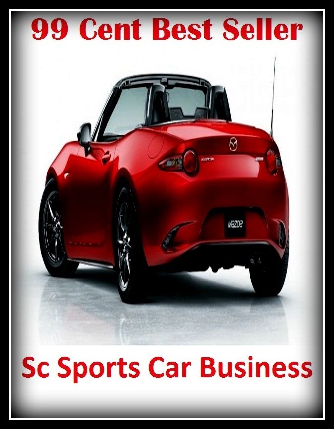 99 Cent Best Seller Sc Sports Car Business (Convertible,two-seater,coupe,sport car,,bucket of bolts,bug,buggy,clunker,compact,crate,gas guzzler,go-cart,hardtop,hatchback)