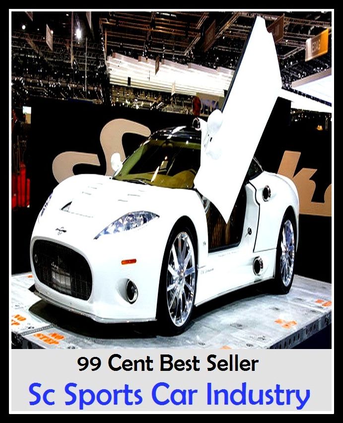 99 Cent Best Seller Sc Sports Car Industry (Convertible,two-seater,coupe,sport car,,bucket of bolts,bug,buggy,clunker,compact,crate,gas guzzler,go-cart,hardtop,hatchback)