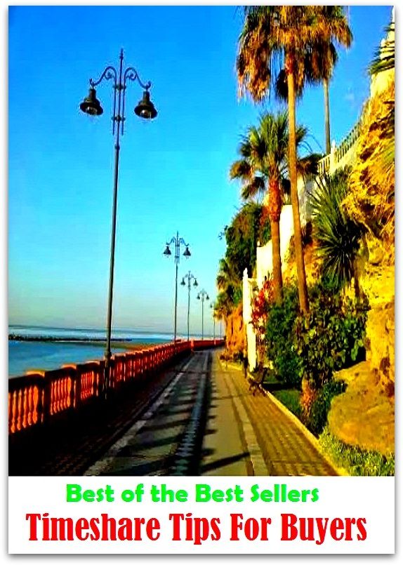 99 Cent Best Seller Timeshare Tips For Buyers (Apartment,co-op,condo,timeshare,townhouse,adobe,apartment block,bungalow,chalet,villa,terrace)