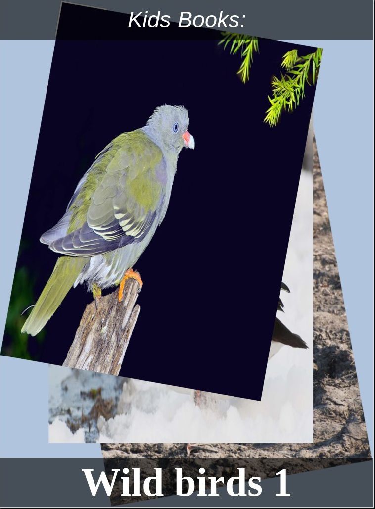 Children's Books: #206 ( Wildlife, Nature, Sea Life, Wild Birds, Corals, Tigers, Lions, Bears, Elephants, Fish, Sharks, Marine Life, Endangered, Conservation, Ecology, Substainable Living, Tree, Flower )
