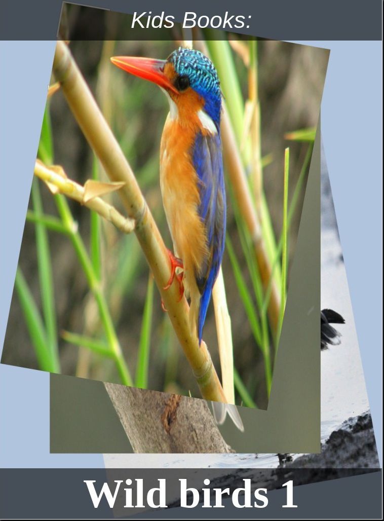 Children's Books: #207 ( Wildlife, Nature, Sea Life, Wild Birds, Corals, Tigers, Lions, Bears, Elephants, Fish, Sharks, Marine Life, Endangered, Conservation, Ecology, Substainable Living, Tree, Flower )