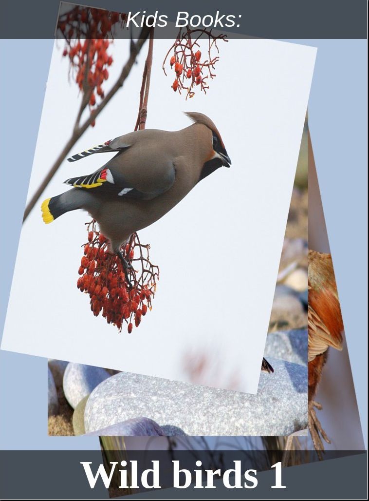 Children's Books: #211 ( Wildlife, Nature, Sea Life, Wild Birds, Corals, Tigers, Lions, Bears, Elephants, Fish, Sharks, Marine Life, Endangered, Conservation, Ecology, Substainable Living, Tree, Flower )