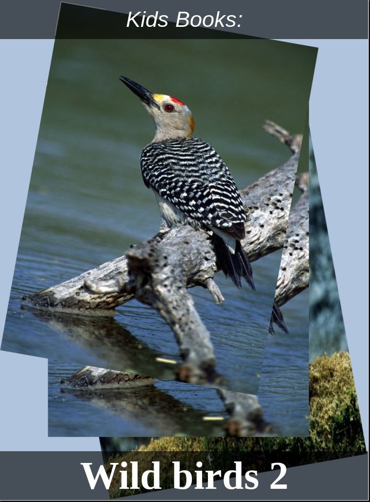 Children's Books: #220 ( Wildlife, Nature, Sea Life, Wild Birds, Corals, Tigers, Lions, Bears, Elephants, Fish, Sharks, Marine Life, Endangered, Conservation, Ecology, Substainable Living, Tree, Flower )