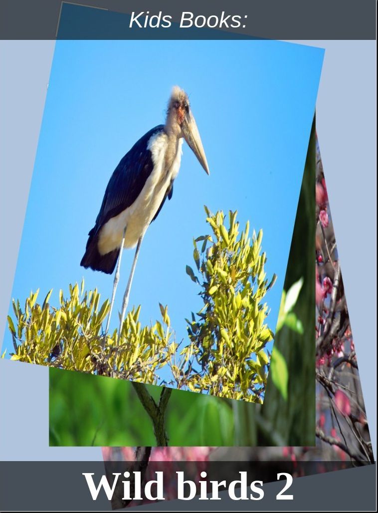 Children's Books: #226 ( Wildlife, Nature, Sea Life, Wild Birds, Corals, Tigers, Lions, Bears, Elephants, Fish, Sharks, Marine Life, Endangered, Conservation, Ecology, Substainable Living, Tree, Flower )