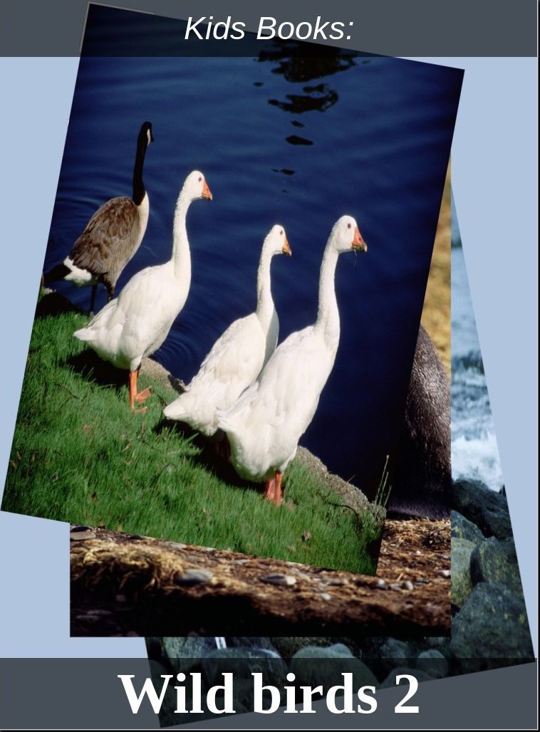 Children's Books: #223 ( Wildlife, Nature, Sea Life, Wild Birds, Corals, Tigers, Lions, Bears, Elephants, Fish, Sharks, Marine Life, Endangered, Conservation, Ecology, Substainable Living, Tree, Flower )