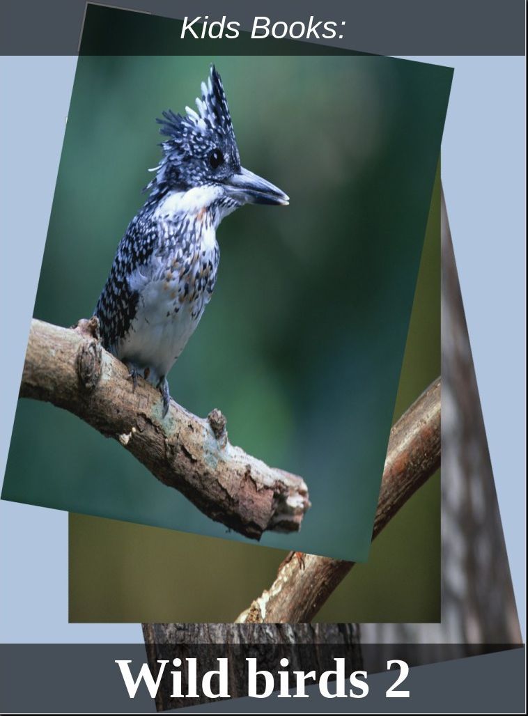 Children's Books: #230 ( Wildlife, Nature, Sea Life, Wild Birds, Corals, Tigers, Lions, Bears, Elephants, Fish, Sharks, Marine Life, Endangered, Conservation, Ecology, Substainable Living, Tree, Flower )