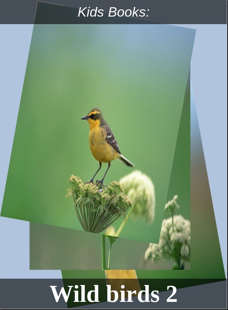 Children's Books: #228 ( Wildlife, Nature, Sea Life, Wild Birds, Corals, Tigers, Lions, Bears, Elephants, Fish, Sharks, Marine Life, Endangered, Conservation, Ecology, Substainable Living, Tree, Flower )