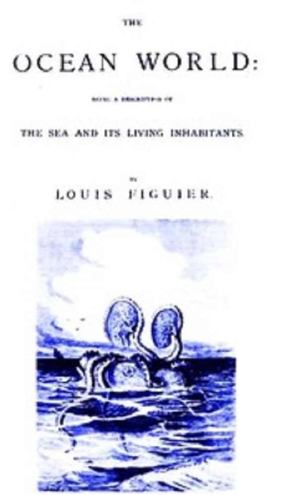 The Ocean World (Illustrated)