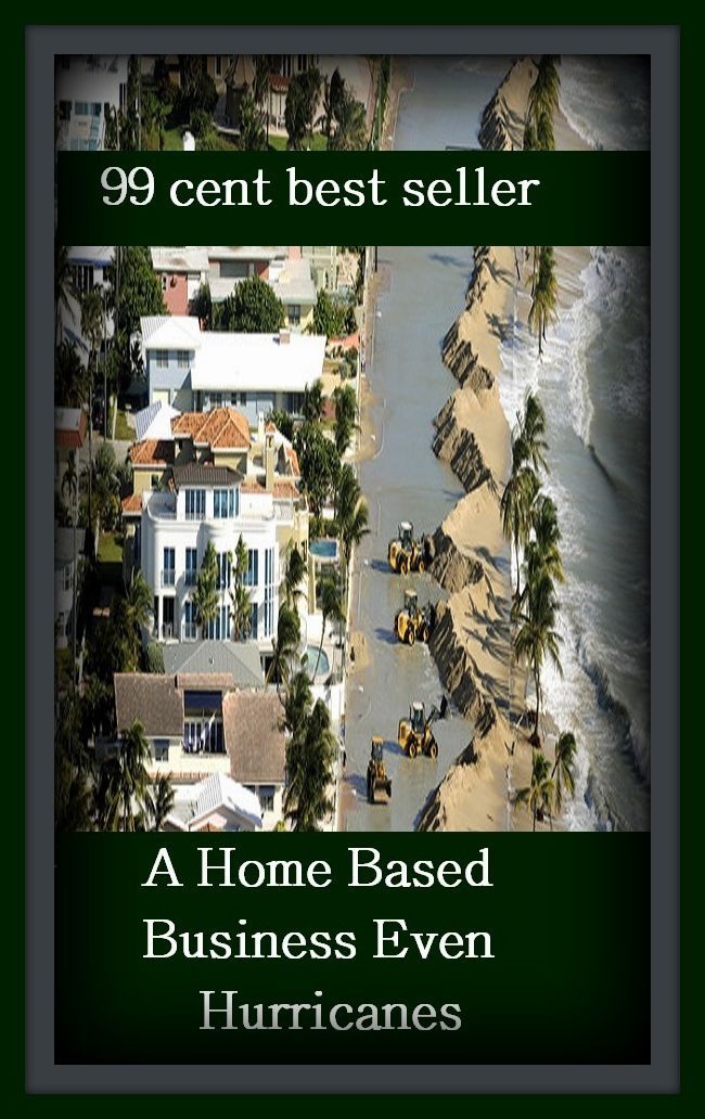 99 Cent Best Seller A Home Based Business Even Hurricanes ( managing, organization, running, supervision, administration, management, direction, admin, command, control, care )