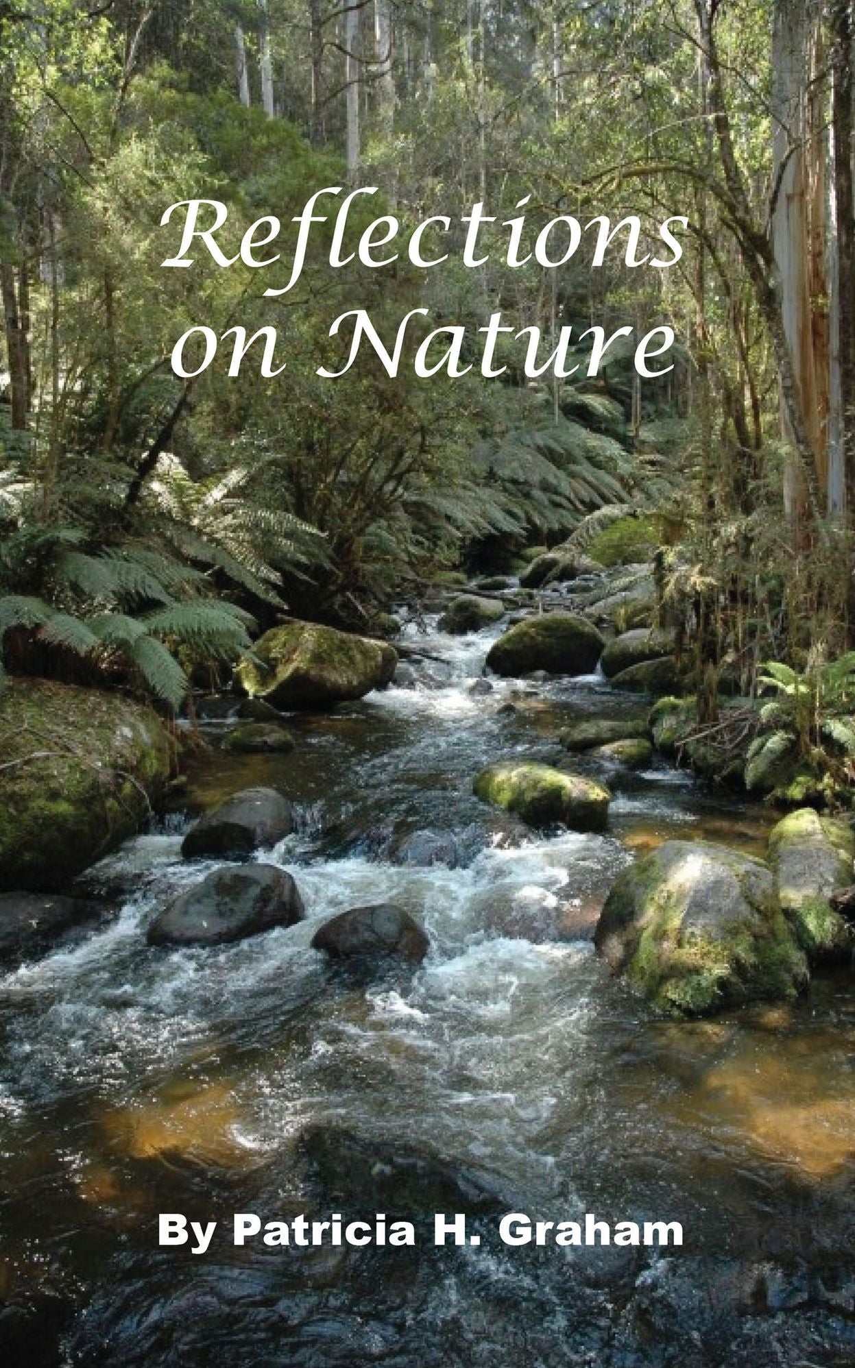 Reflections on Nature