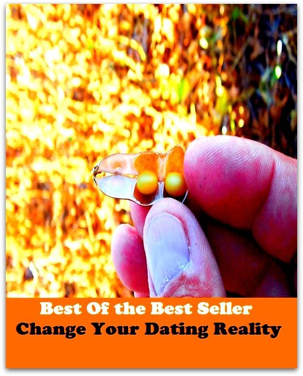 Best of the Best Sellers Change Your Dating Reality(go out with, take out, go around with, be involved with, see, go steady with, woo, court)