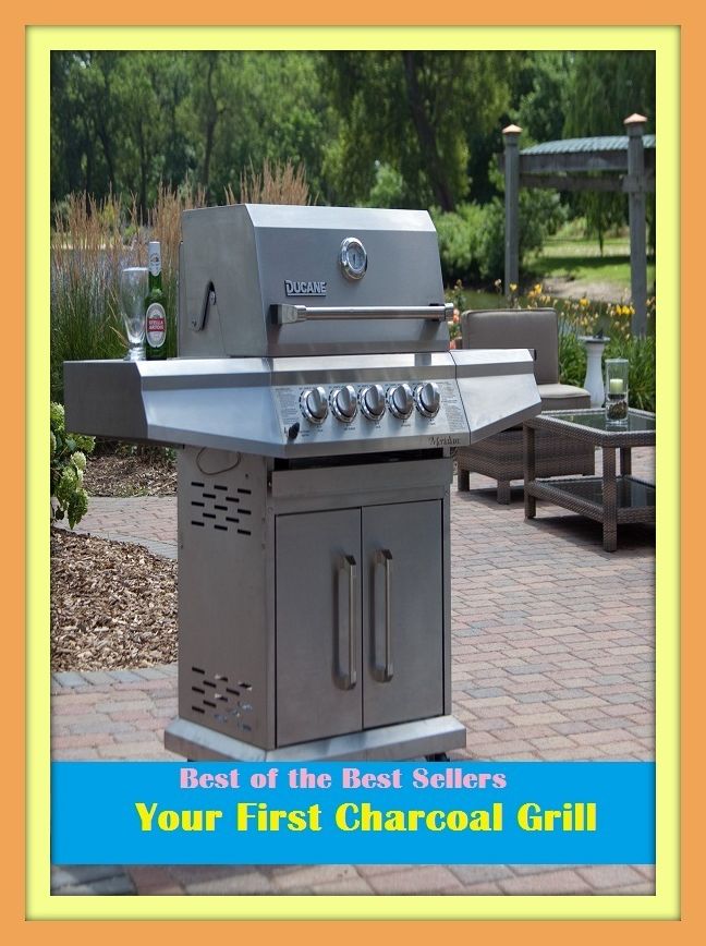 Best of the Sellers Your First Charcoal Grill ( barbeque, junk Food, little nutritional value, fat, disambiguation, protein, skeletal muscle, pigs, cattle, lambs, sugar, salt, calories, snack foods, gum, candy, sweet desserts, fried fast food, grilling )