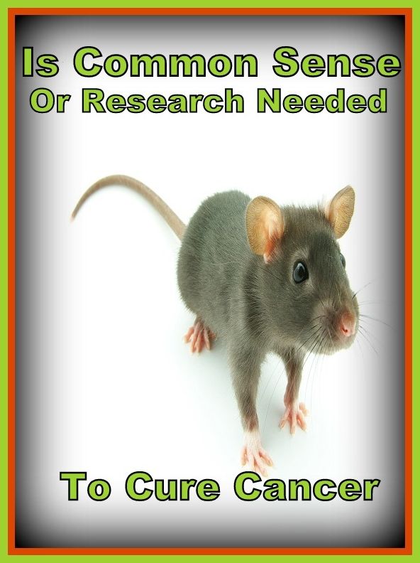 Best of the Sellers Is Common Sense Or Research Needed To Cure Cancer ( exercise, meditation, acupuncture, disease, digestive system, formula, medicine, remedy, fix, treatment, action, conduct, behavior, handling, gastrin, fitness, vitamins, healing )