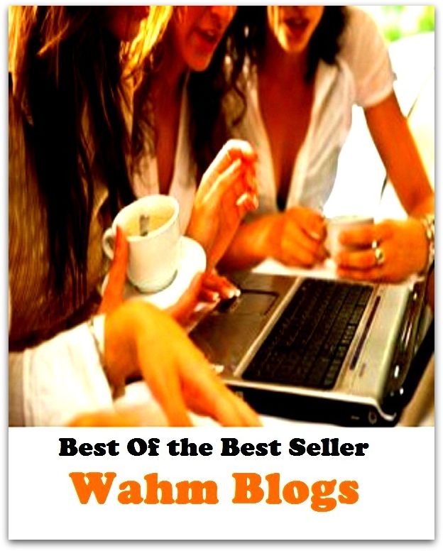 Best of the Best Sellers Wahm Blogs ( fake, mesh, net, plexus, web, snare, internet, research, calculating machine, electronics, online, work at home mom, work at home, earn, computer )