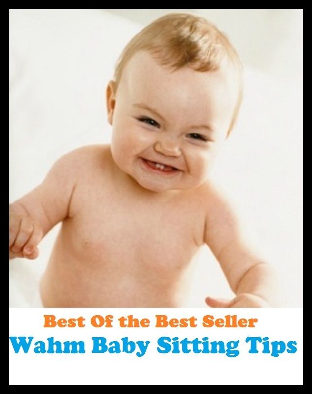 Best of the Best Sellers Wahm Baby Sitting Tips ( fake, mesh, net, plexus, web, snare, internet, research, calculating machine, electronics, online, work at home mom, work at home, earn, computer )