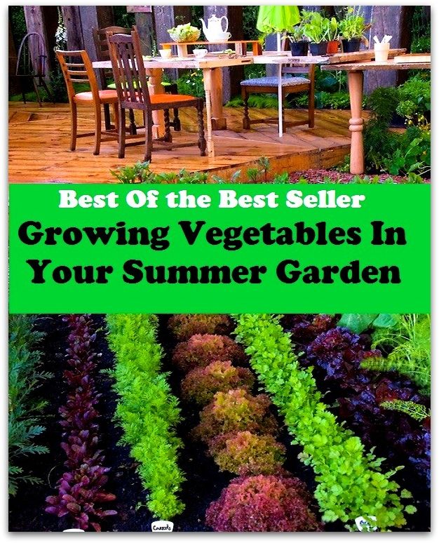 Best of the Best Sellers Growing Vegetables In Your Summer Garden (back yard, greenhouse, tarrace, hothouse, plot, bed, nursery, conservatory, oasis, cold frame, field, patio, enclosure, patch)