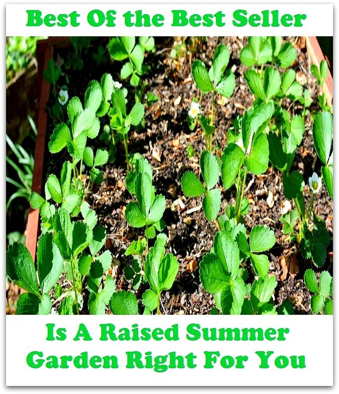 Gardening: Raise Summer Garden Right For You