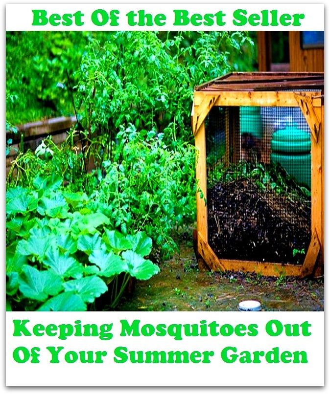Best of the Best Sellers Keeping Mosquitoes Out Of Your Summer Garden (back yard, greenhouse, tarrace, hothouse, plot, bed, nursery, conservatory, oasis, cold frame, field, patio, enclosure, patch)