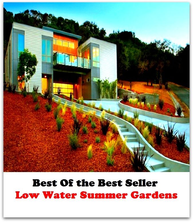 Best of the Best Sellers Low Water Summer Gardens (efficiency, ardor, dorcefulness. muscle, verve, intensity, birr, dash, pep, vim, power, drive, go,pluck,)